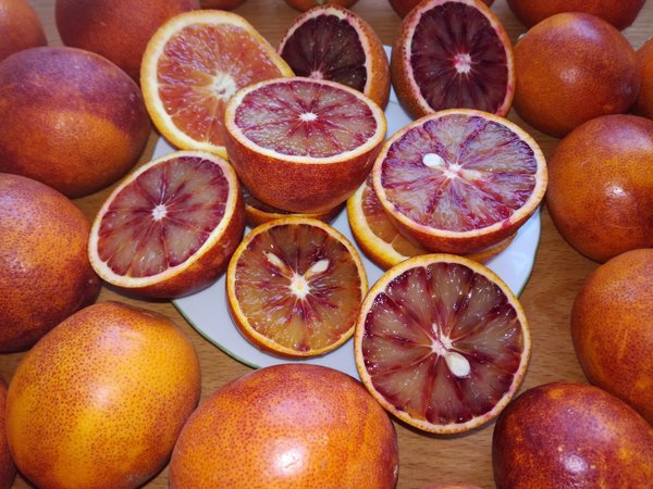Orangen-Butterquarktorte (mit einer frischen Orange/Clementine als Zugabe nach Verfügbarkeit)